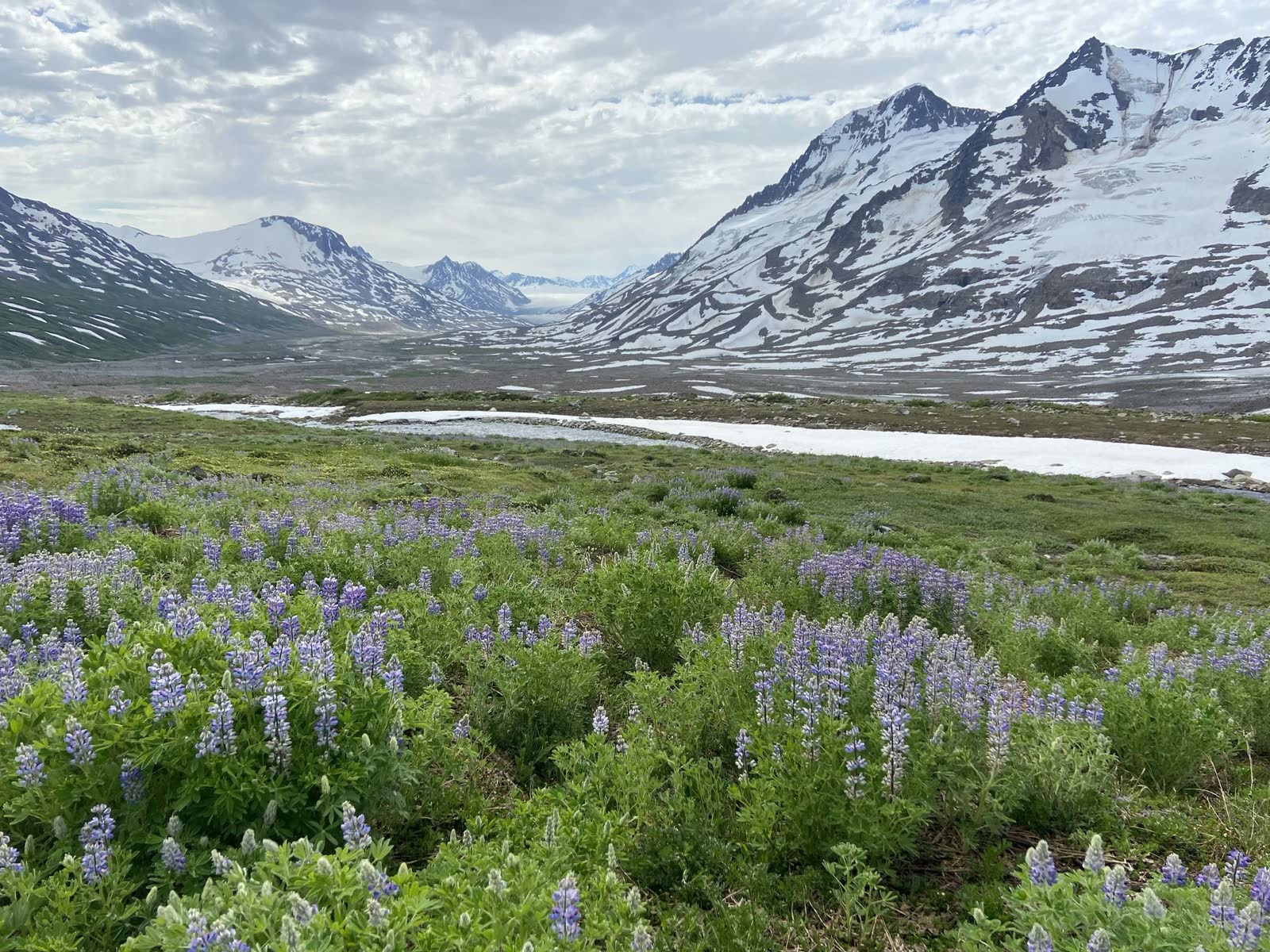 Wrangell-St Elias National Park
