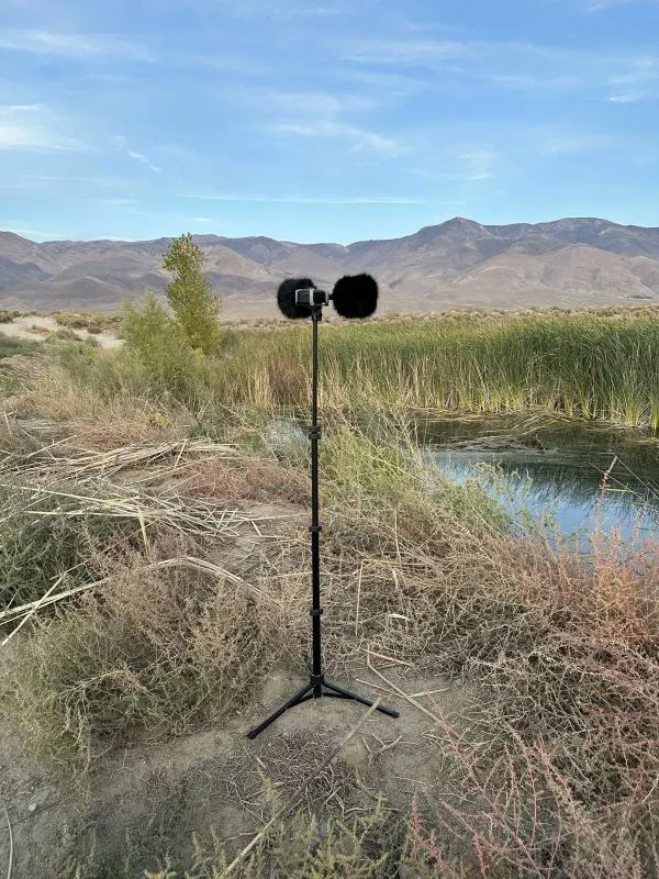 Field recording microphones in the Owens Valley